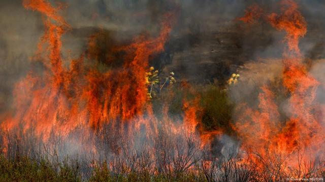 Fires in Spain, flames with firefighters in background