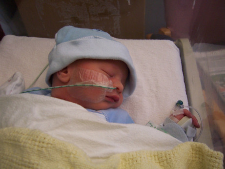 Pascal 2006
