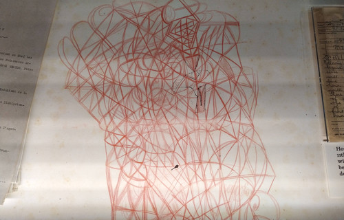a complex webbed doodle in red pencil