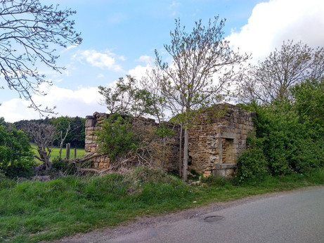Ruined house by side of road with tree growing in the middle of the floor