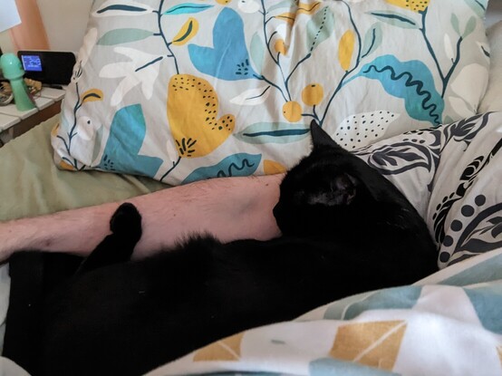 Black kitty snuggled into my arm