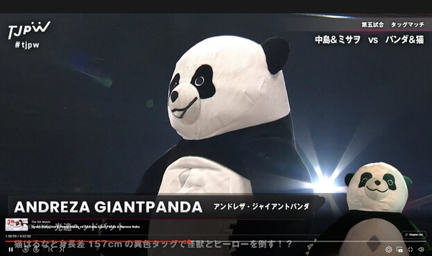 man in giant panda suit called 'Andreza Giantpanda"