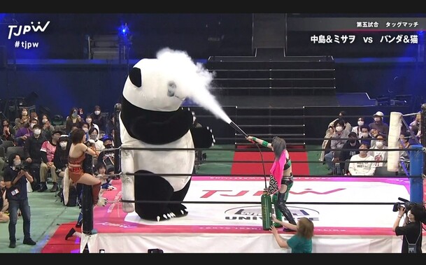 female tag team spraying giant panda suit man in the face with a fire extinguisher.