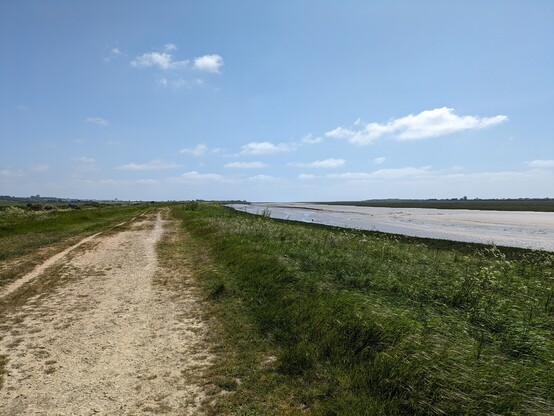 The Thames estuary near Canvey Island 