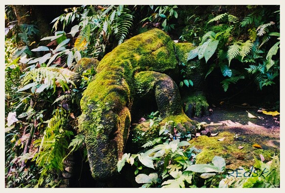 A huge carved stone lizard covered in moss of varying greens and browns surrounded by tropical jungle fauna. 