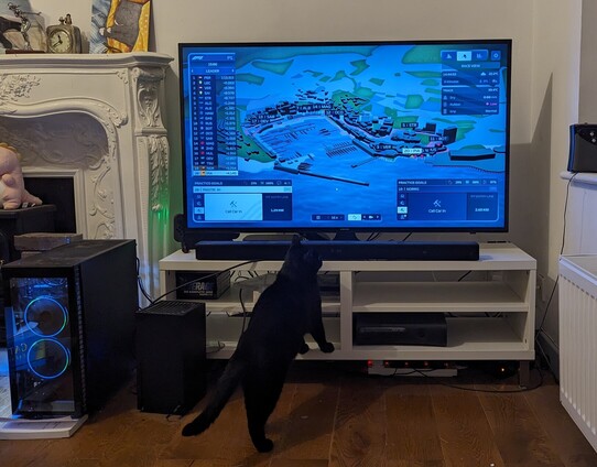 Black kitty propped up on TV unit with face glued to screen of racing data from F1 Manager.