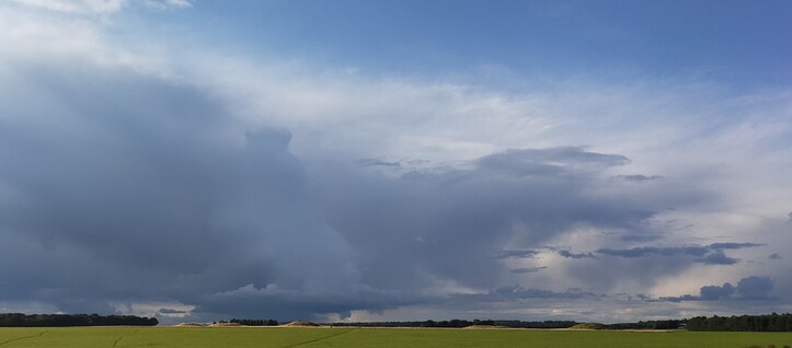 Barrows on the horizon at Stonehenge. Illegally parked caravans carefully cropped out.