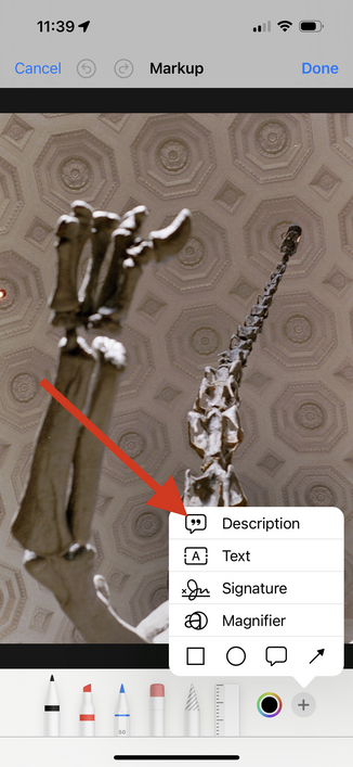 Image showing how alt-text can be added to images using the Markup feature of iOS when editing photos or images.