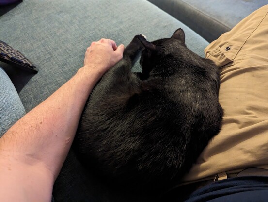 Black kitty snuggled into my side