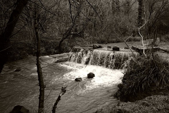 A sepia-toned black-and-white image of a small waterfall in woodland surroundings 