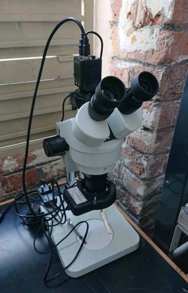 A trinocular microscope - binocular eyepieces plus a third view for an HDMI webcam - sat on a desk