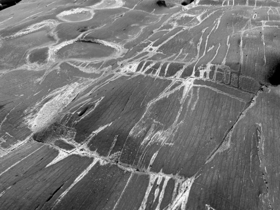 Black and white rocks with white striations 