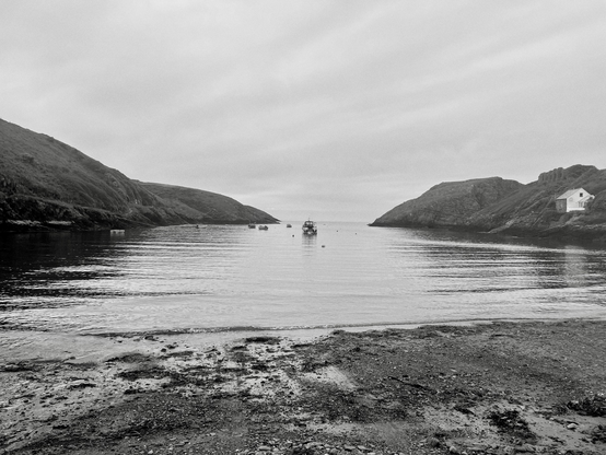 Abercastle bay - view of the water with boats bobbing 