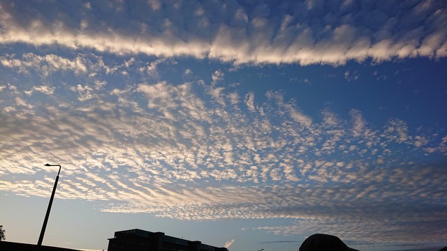 A blue summer sky with a smattering of high cirrus clouds.  Just in frame at the bottom are the silhouettes of the roofs of industrial buildings and a lamppost.
