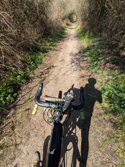 A bike, looking down a glorious hedged path