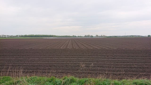 Looking across a neatly ploughed field.  The furrows nearest the camera run left to right, but just beyond that (and most of the field) has furrows running away from the camera and we're looking along some perfectly straight miniature valleys, laid out by a modern tractor with satnav
