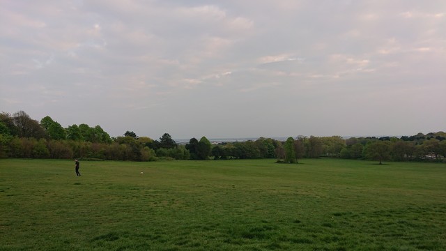 The view from Camp Hill, looking out across a grassy field to woods at the bottom of the hill.  In the distance there are houses and just about visible is the River Mersey
