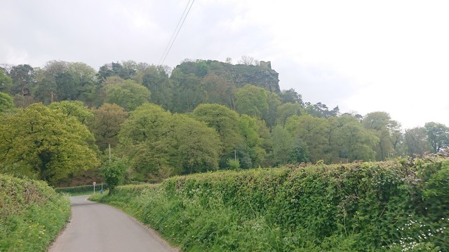 A country lane lined with green hedgerow leads away from us, curving slightly to the left.  It disappears amongst trees which cover the hill ahead.  Just visible at the top of the hill are the ruins of Beeston Castle, stood on a sandstone ridge