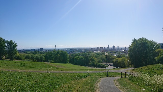Looking down the hill in a park, across grassed areas criss-crossed with a couple of tarmac paths.  Beyond the grass are trees; and beyond the trees, in the distance you can see the city centre of Liverpool: skyscrapers and other buildings including the St. John's Beacon tower and the twin towers of the Liver Building, topped with Liver Birds just visible on the horizon.  All under a cloudless blue sky