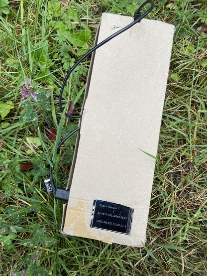 a bird (and bat) classifier in a long cardboard box with a screen against a grass background
