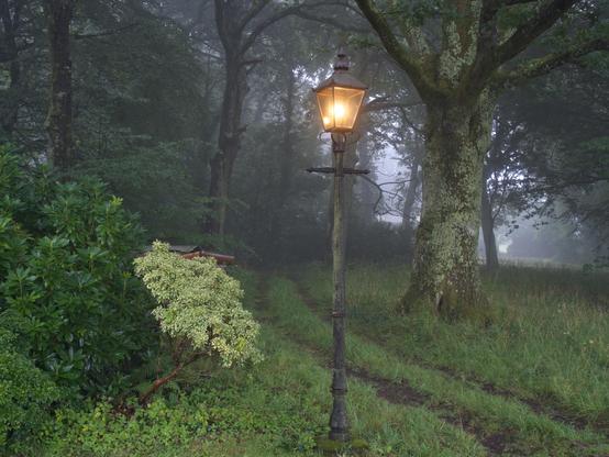 An old-style lamp post with a light in it stands in a wood next to a track. It is misty.