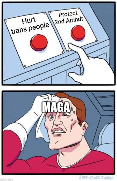 Sweating guy meme. Guy labelled "MAGA" is trying to decide between "Hurt trans people" and "Protect second amendment".