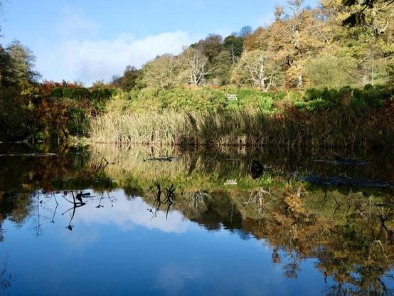 A tree-covered landscape reflected in a blue lake, most picturesque and all that